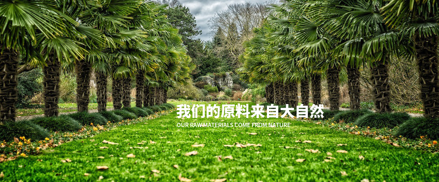 上海浩登材料股份有限公司